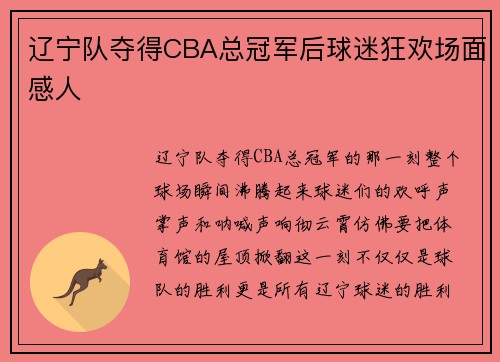 辽宁队夺得CBA总冠军后球迷狂欢场面感人